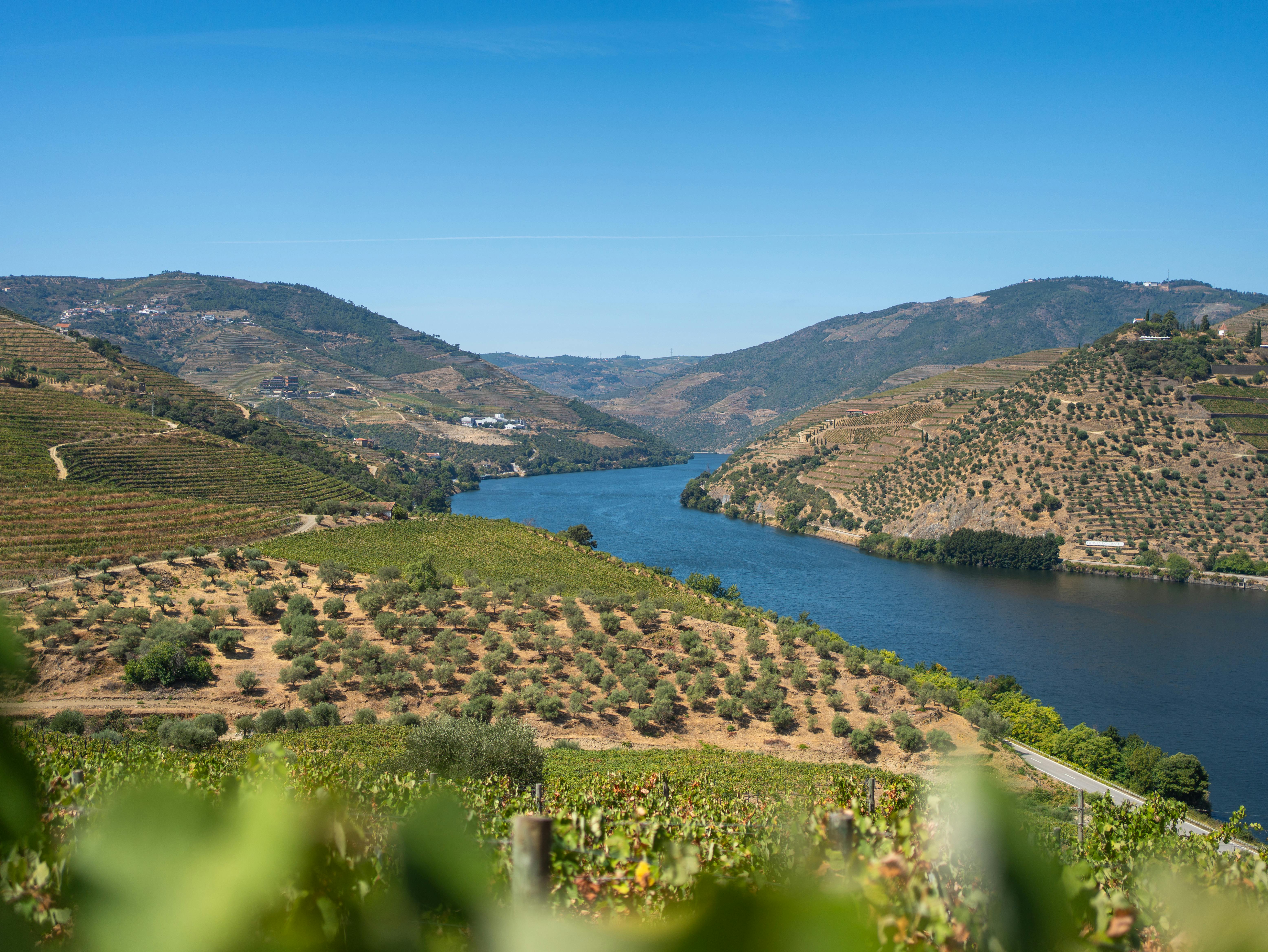 Douro Valley vineyards and river, Portugal